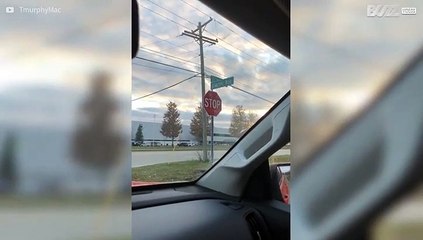 Famous avenue from chart-topping song finally found