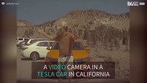 Man caught worshiping a Tesla motorcar