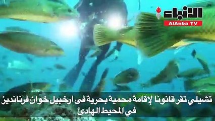 تشيلي تقيم محمية بحرية حول جزيرة روبنسون كروزو