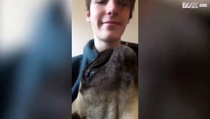 Dog KO's owner with vicious headbutt!