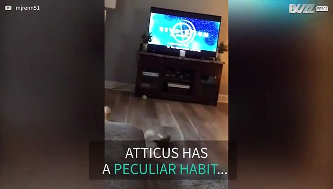 Dog has curious after-dinner habit
