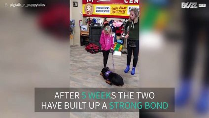 Seven-year old girl trains puppy herself