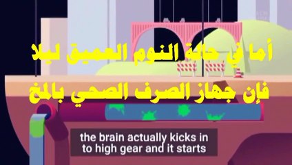 لن تقضي الليل ساهرا بعد هذا الفيديو خمس نتائج مدمرة لعدم النوم