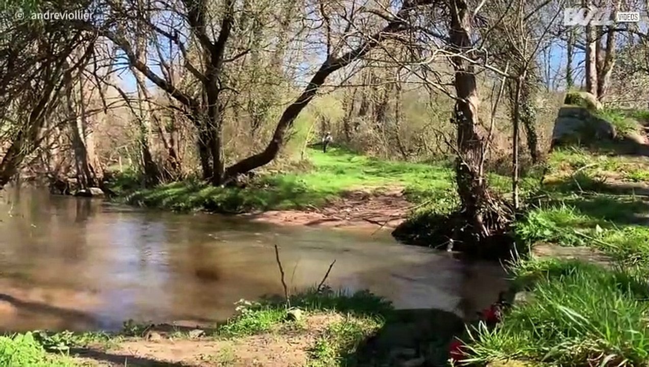 Cyclist's epic fail while crossing stream