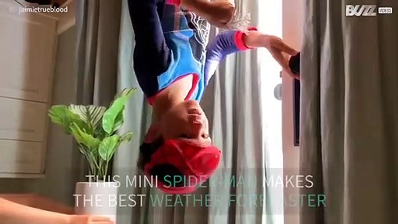Mini Spider-Man predicts the weather