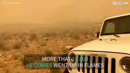 Devastating fire in Utah destroys over 10.000 hectares