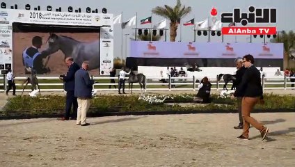 افتتاح بطولة كأس الأمم للخيل العربية برعاية "الأنباء"