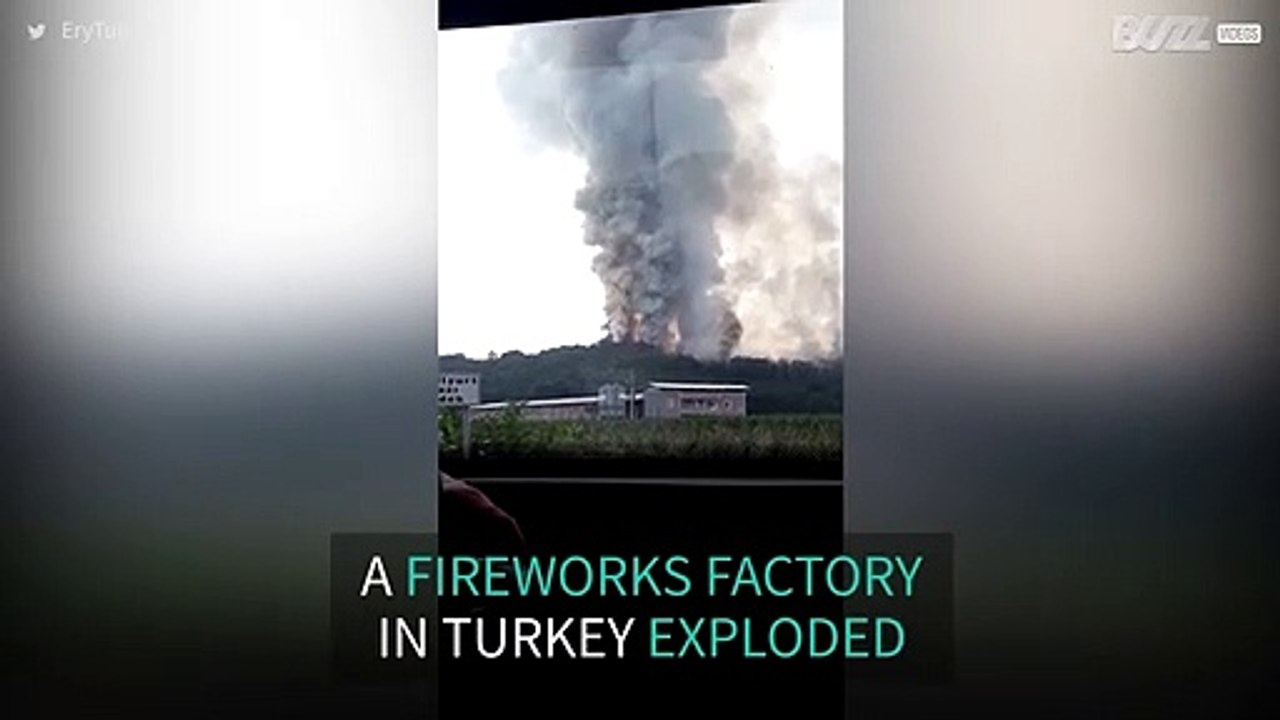 Fireworks factory in Turkey explodes