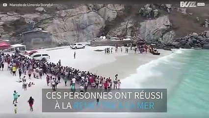 Une baleine échouée sur une plage brésilienne sauvée