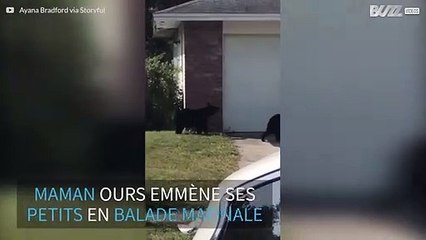 La famille Ours en balade dans un quartier de Floride