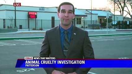 اعتقال شاب بعد انتشار مقطع فيديو غير إنساني