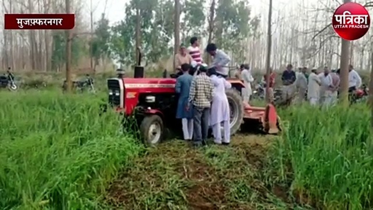 दो किसानों ने गेहूं की 22 बीघा खड़ी फसल पर चलाया...