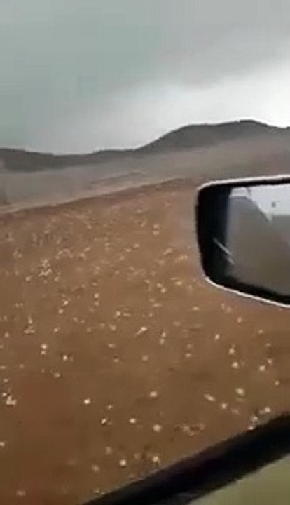 سقوط كميات من البرد على بعض أنحاء المدينة