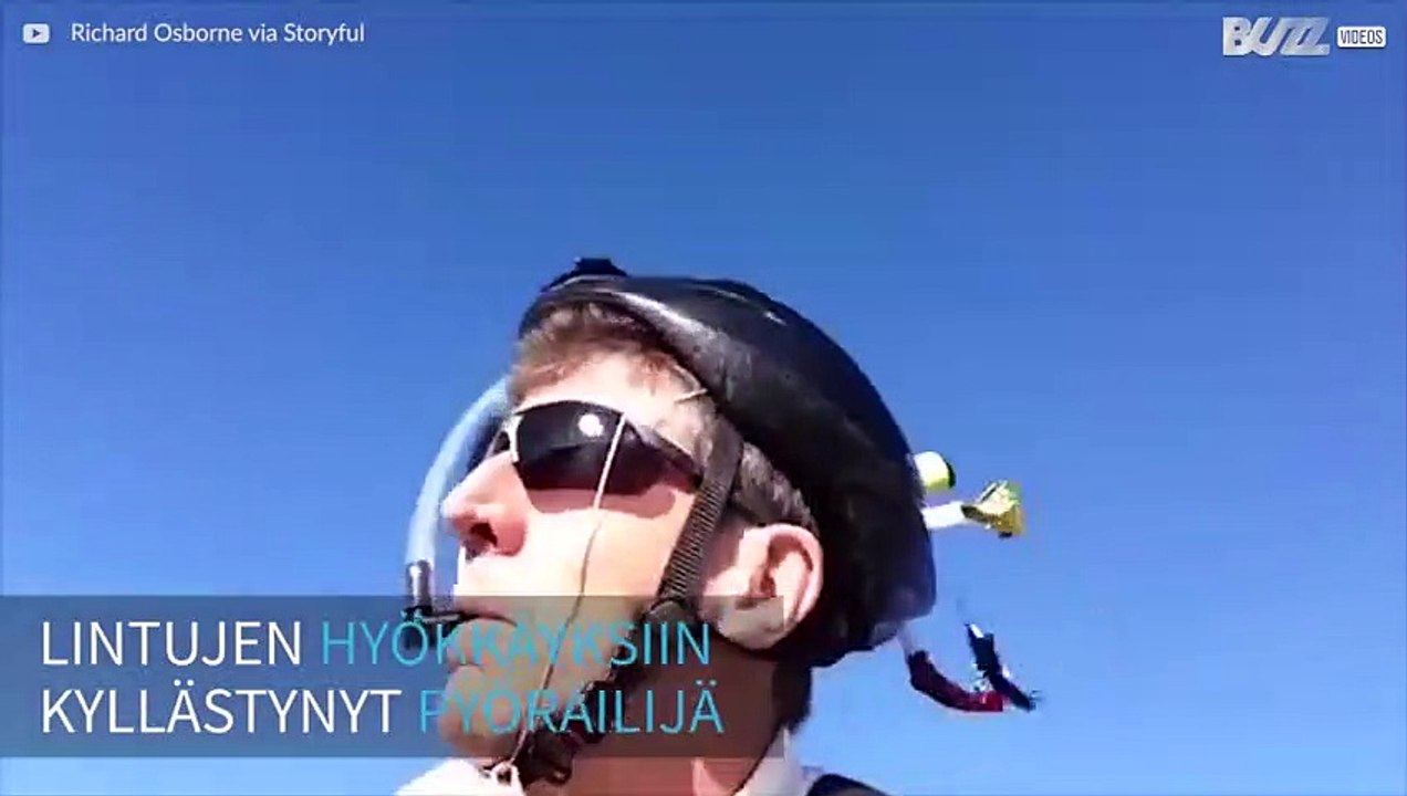 Pyöräilijä keksi hauskan kypärän, joka ehkäisee aggressiivisten lintujen hyökkäykset