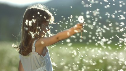 Pollen heightens your chances of catching COVID, even if you're not allergic