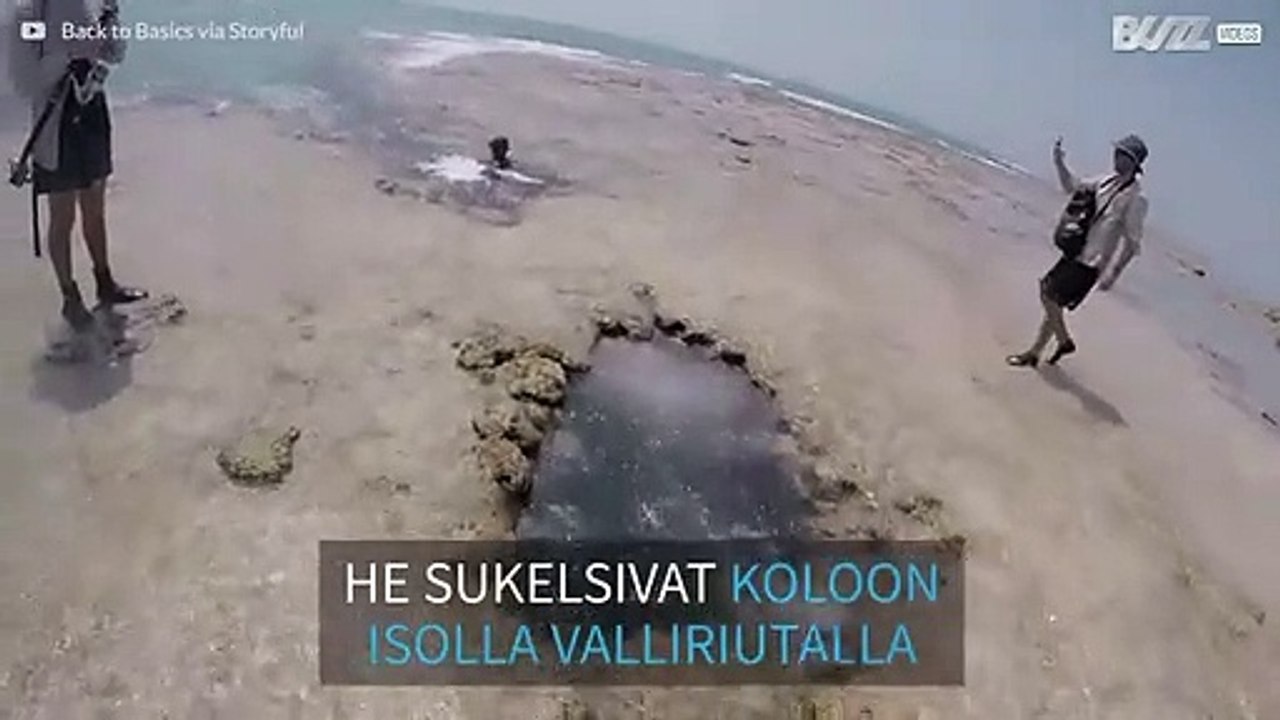 Sukellus johtaa koralliluolaan