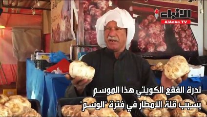 غياب الفقع يضع البيئة البرية تحت المجهروالأسعار نار