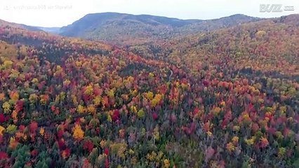 Les somptueuses couleurs de l'automne canadien