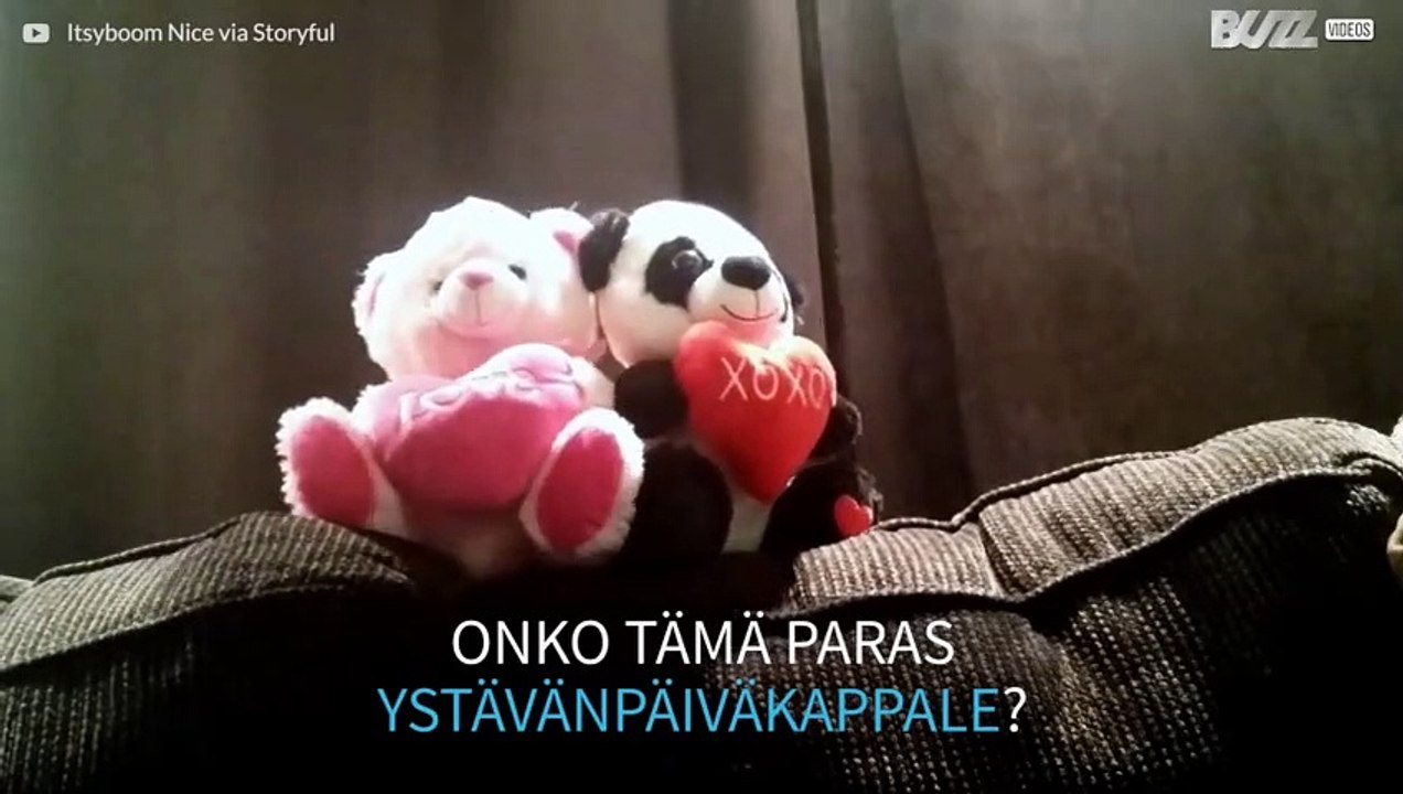 Nallet pistävät tanssiksi ystävänpäivän kunniaksi!