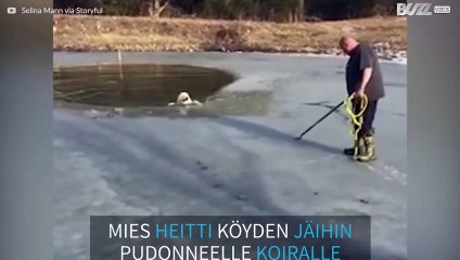 Pelastusoperaatio: fiksu koira ottaa hampaillaan kiinni köydestä päästäkseen ylös jäistä