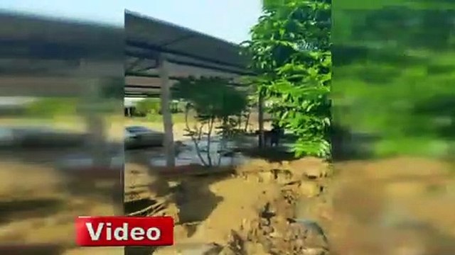 Selin izlerini silmeye çalışıyorlar