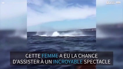 Ces baleines nous offrent un très beau spectacle!