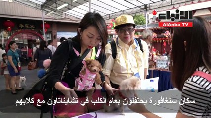 سنغافورة تحتفل بعام الكلب بمسابقة لأزياء الكلاب