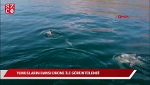 Marmara Denizi'nde yunusların dansı drone ile görüntülendi