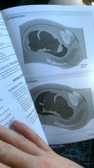 studying and reading about OB/nursing