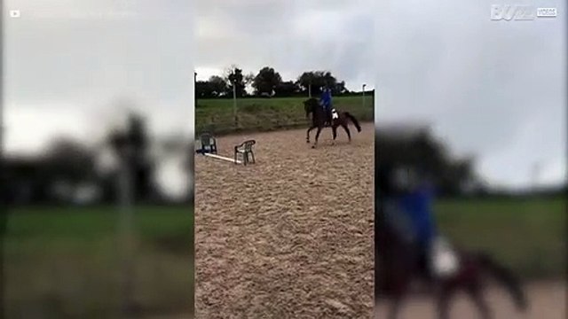 Même le plus petit obstacle est trop grand pour ce cheval!