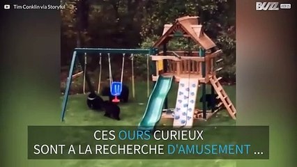 Des oursons mignons envahissent ce jardin aux Etats-Unis
