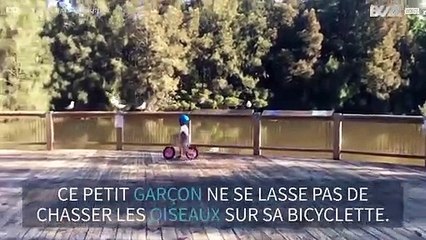 Ce petit garçon prend des oiseaux en chasse à bicyclette