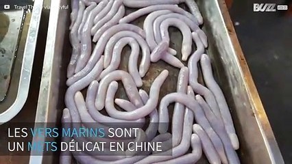 Mets raffiné chinois: le vers marin géant
