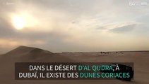 Conduire parmi les dunes de Dubaï n'est pas chose facile