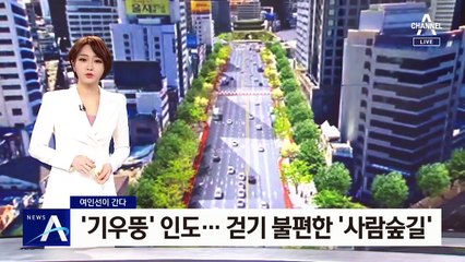 [여인선이 간다]걷기 좋다더니…불편한 광화문 ‘사람숲길’