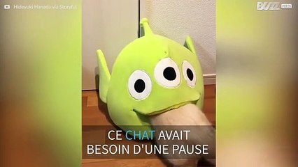 Quand un chat se fait aspirer par un extra-terrestre
