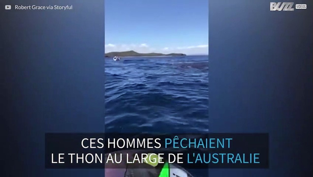 Australie: un pêcheur est encerclé par des dizaines de requins
