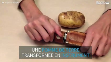 Vous avez déjà entendu une reprise de "Sandstorm" par Darude jouée sur une patate?!