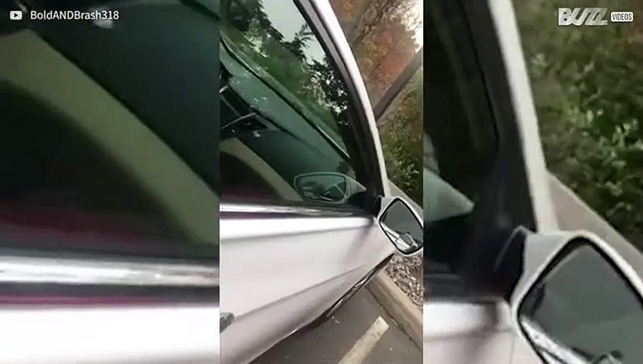 Cette souris se balade tranquillement dans une voiture