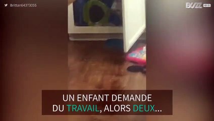 Ces jumeaux ont la même mauvaise idée, au mauvais moment
