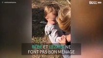 Un enfant fait une crise à cause d'un lézard