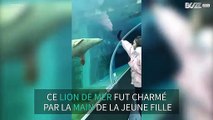Une jeune fille et un lion de mer partagent une danse