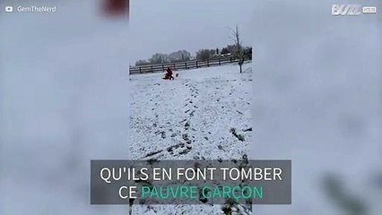Fou de joie, ce Jack Russell fait tomber un petit garçon