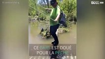 Cette partie de pêche aurait pu tourner au drame