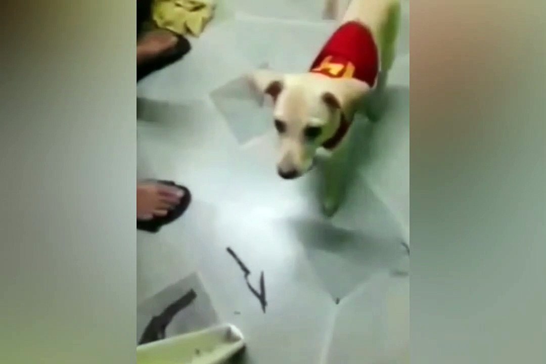 Ang sexy naman labas pusod