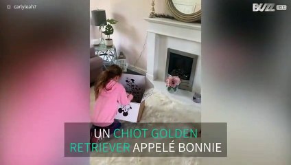 Ces fillettes reçoivent le plus beau des cadeaux !