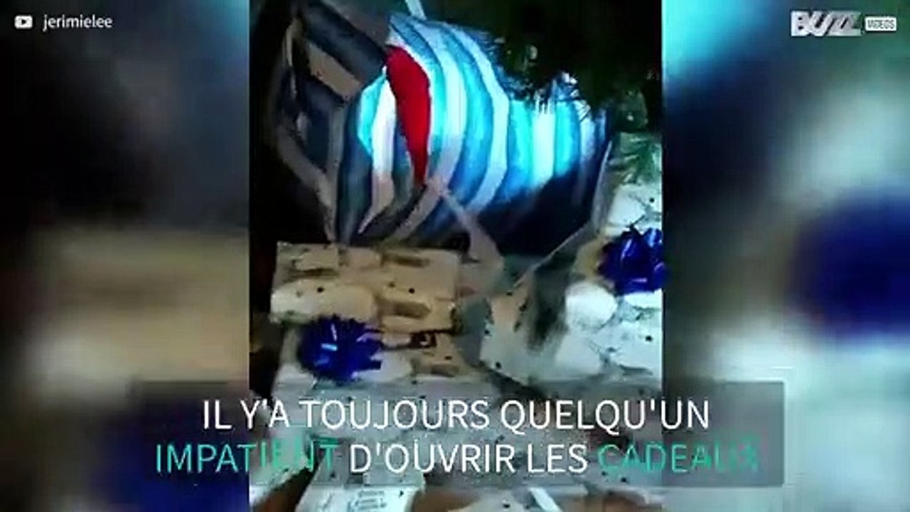 Chien surpris à ouvrir les cadeaux de Noël de ses maîtres