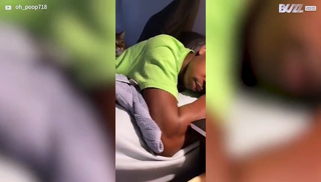 Ce chat rapporte un bouchon de bouteille sur le lit de son propriétaire