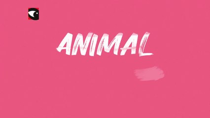 Animal Político lo hizo de nuevo: Ping Pong #9