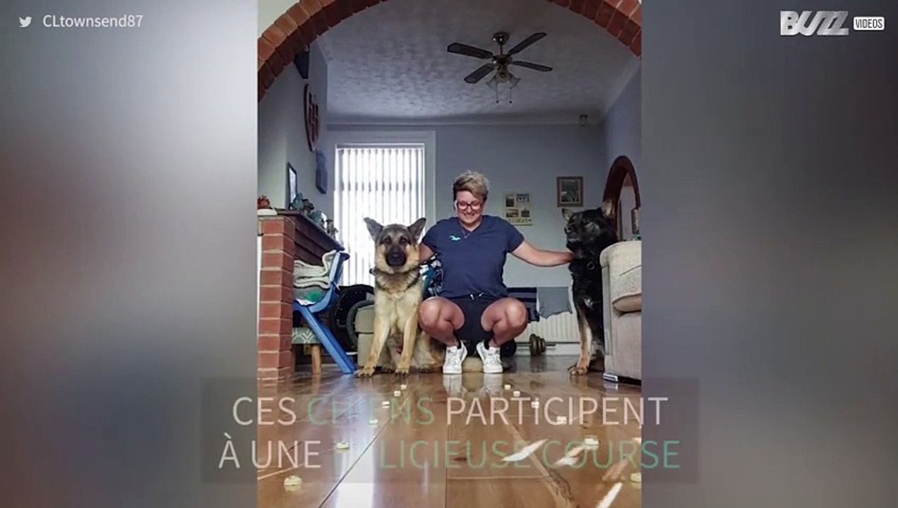 Ces chiens donnent tout pour un concours de nourriture